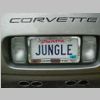CorvetteMania-0041.jpg